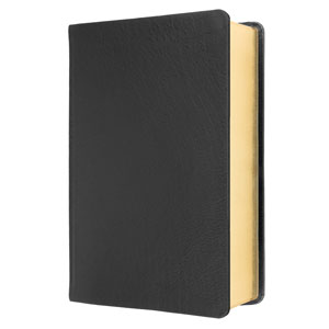 Elberfelder - Gro�druckausgabe