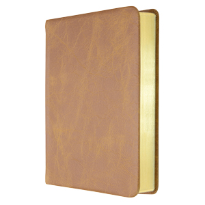 Elberfelder - Pocketbibel (Leder) | Limited Edition