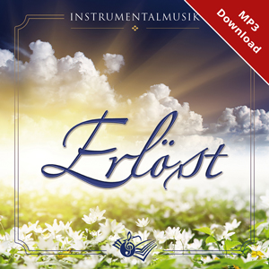 Instrumental-Album \