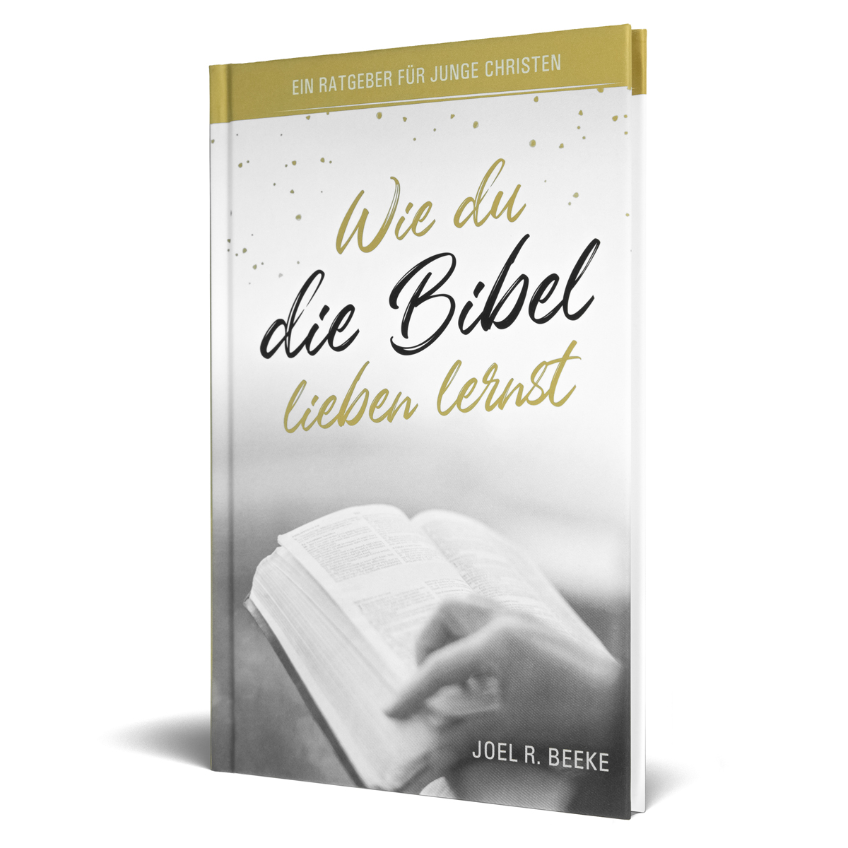Wie du die Bibel lieben lernst